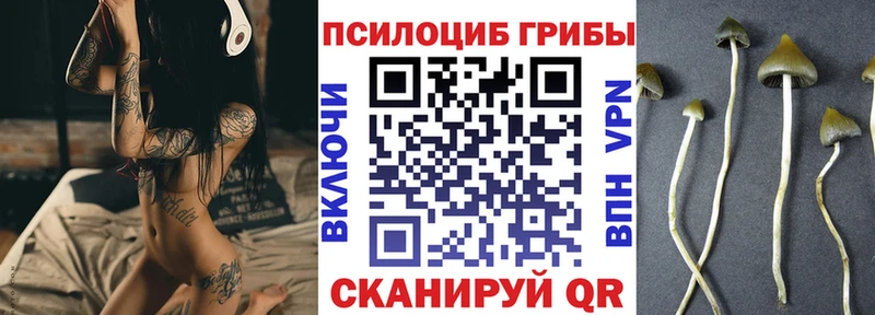 Псилоцибиновые грибы Psilocybine cubensis Лодейное Поле